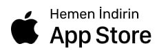 Apple Store icon